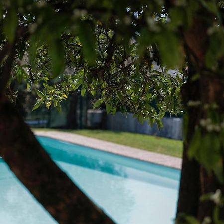 Casa Do Vale -Villa Rio Minho-Seixas-كامينيا المظهر الخارجي الصورة