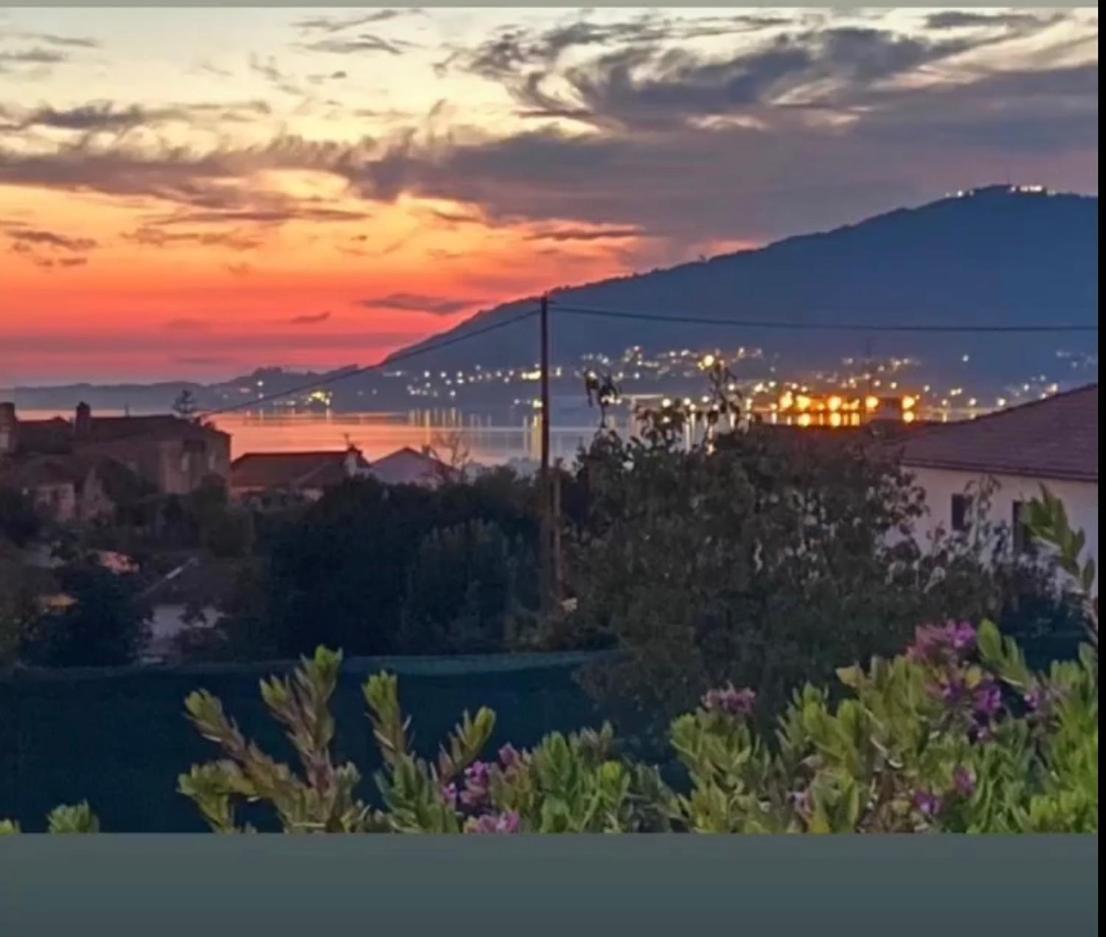 Casa Do Vale -Villa Rio Minho-Seixas-كامينيا المظهر الخارجي الصورة