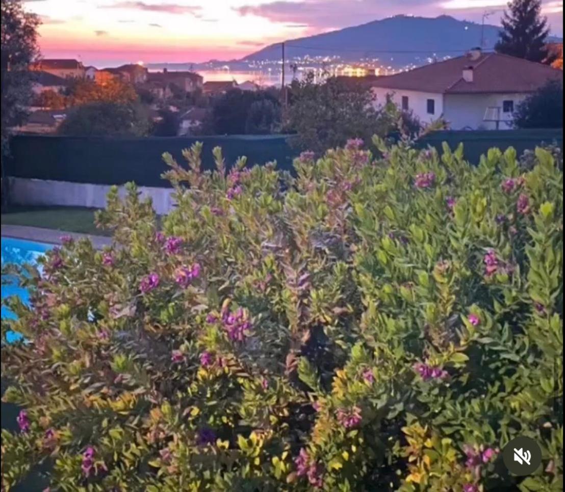 Casa Do Vale -Villa Rio Minho-Seixas-كامينيا المظهر الخارجي الصورة