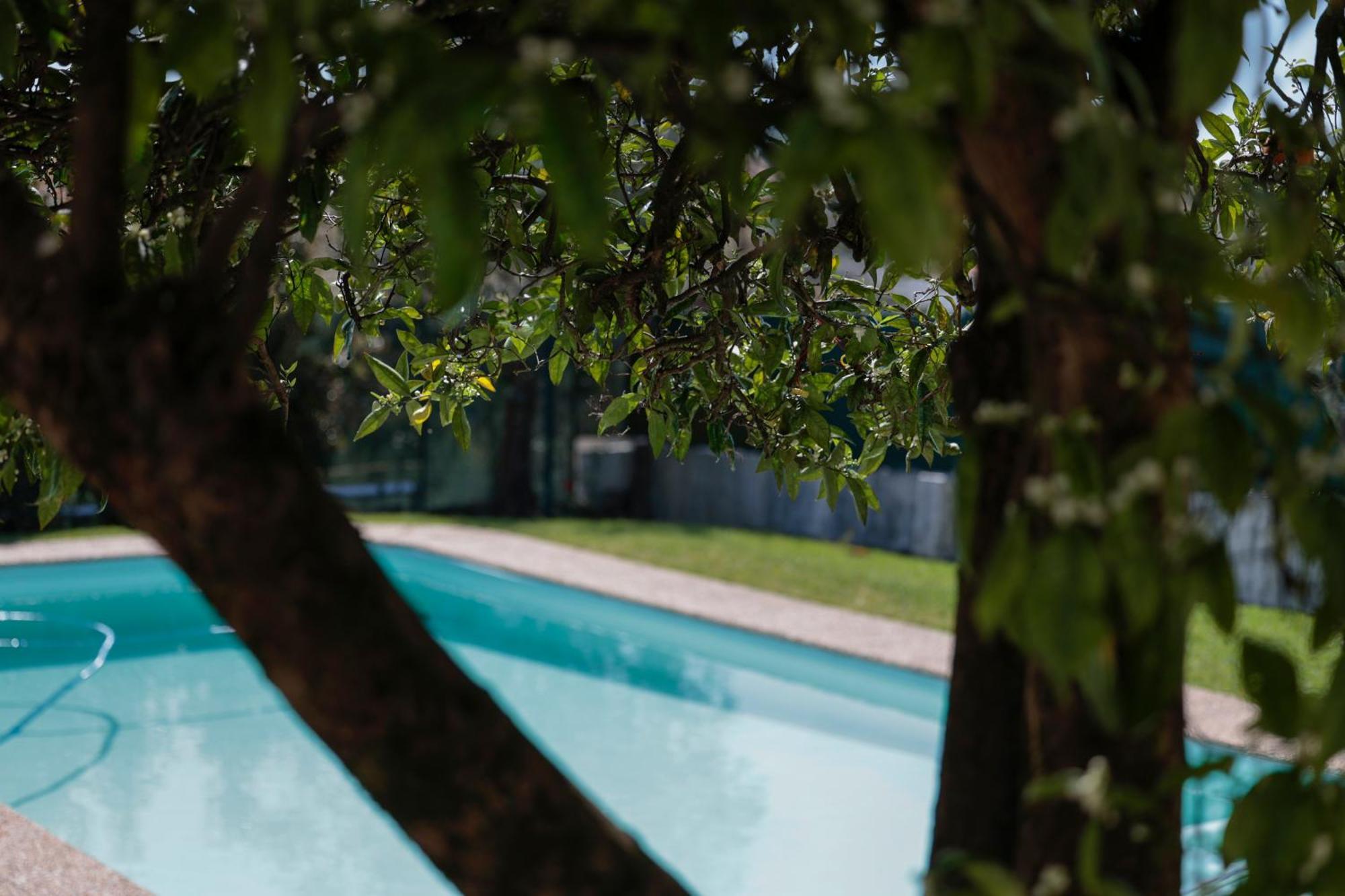 Casa Do Vale -Villa Rio Minho-Seixas-كامينيا المظهر الخارجي الصورة